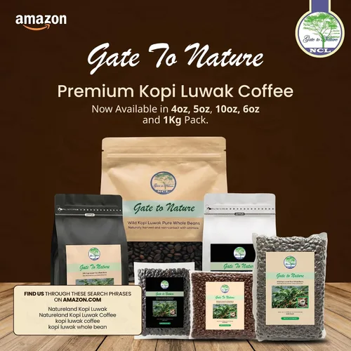 Vista 4 de Gate to Nature Kopi Luwak - Granos arábica (Black Label recién hechos tostado oscuro, bolsa transparente de 10 onzas) granos enteros Wild Civet