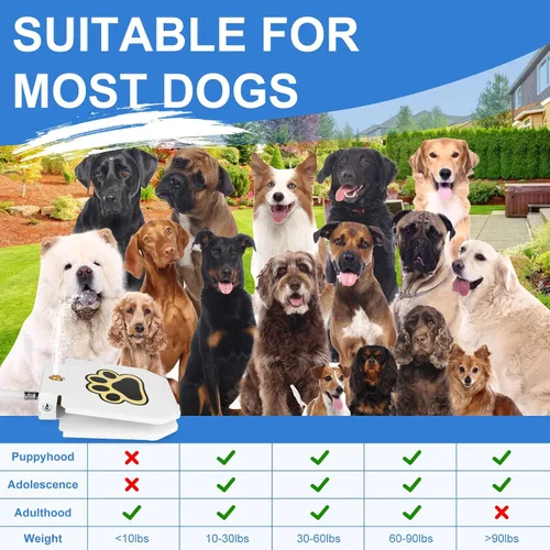 Vista 7 de Fuente de agua para perros, dispensador de mascotas activadas con patas al aire libre, rociador de agua para perros con manguera de 39.4 pulgadas