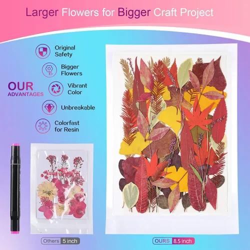 Vista 2 de Large Bulk Fall Dried Pressed Leaves for Craft, Real Dry Natural Flower Leaf Daisy for Resin Mold, Cake Decor, Phone Cases (Autumn Leaves)