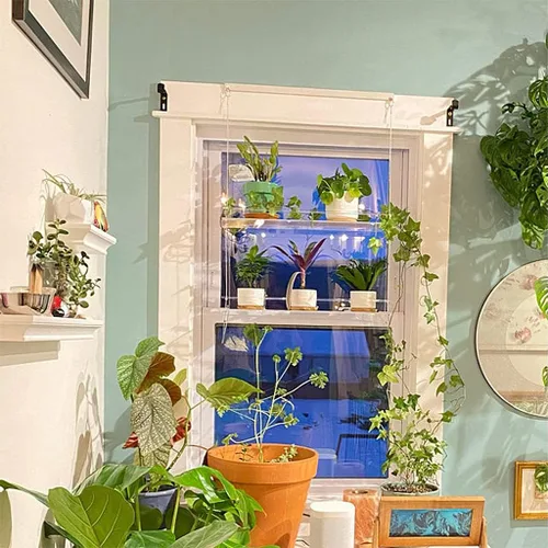 Vista 6 de Estantes acrílicos para plantas de ventana, estante de pared flotante colgante transparente, estante para macetas, estante para plantas de ventana