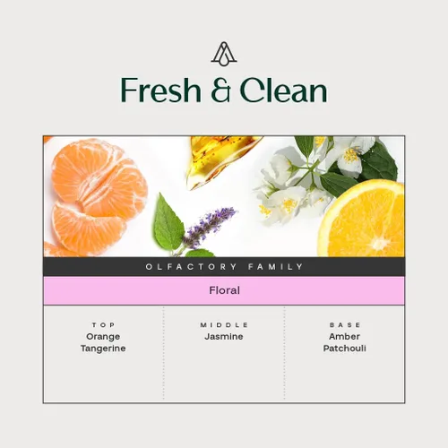 Vista 3 de AromaPlan Aroma de Hotel Fragancias Frescas y Limpias, 50 ml (1.7 Fl Oz) - Aceite Esencial de Aroma y Fragancia de Hotel de Lujo - Aceite Esencial