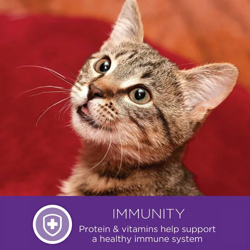 Vista 9 de Comida húmeda para gatos Healthy Indulgence, libre de granos, bolsa de 3 onzas (paquete de 24 envases), de Wellness