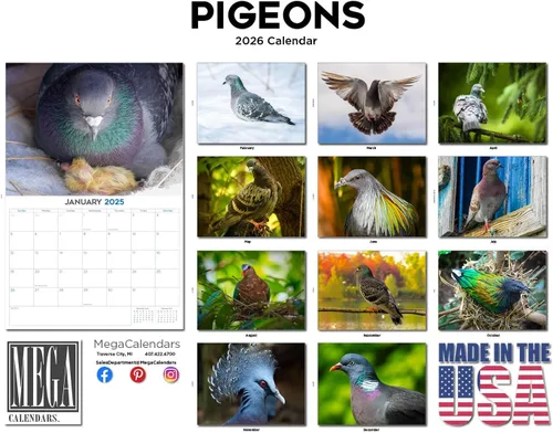 Vista 616 de Calendario de grises africanos 2025 2026 – Planificador mensual de pared de aves africanas – 12 x 18 pulgadas (abierto), calendario de pared