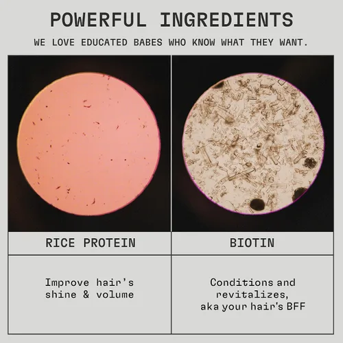 Vista 3 de cleanjourney Champú voluminizador para cabello fino, fino y plano, proteína de arroz y biotina, cuidado del cabello de volumen ligero, verificado