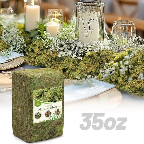 Vista 9 de Musgo verde natural de 10 onzas para principiantes, musgo de inicio para plantas de interior, jardines de hadas artificiales, mini mosswall