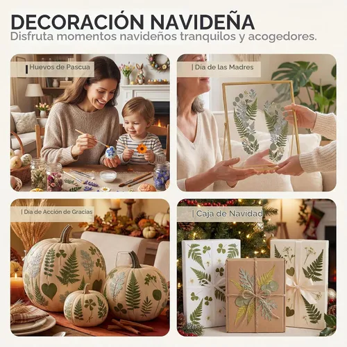 Vista 7 de LUXEEASE Hojas prensadas secas 84P, verde terroso Verde Natural 84p