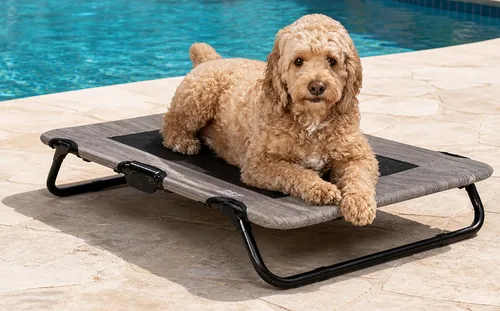 Vista 4 de Pet Gear Lifestyle - Cuna elevada para mascotas, 30 pulgadas, océano caribeño