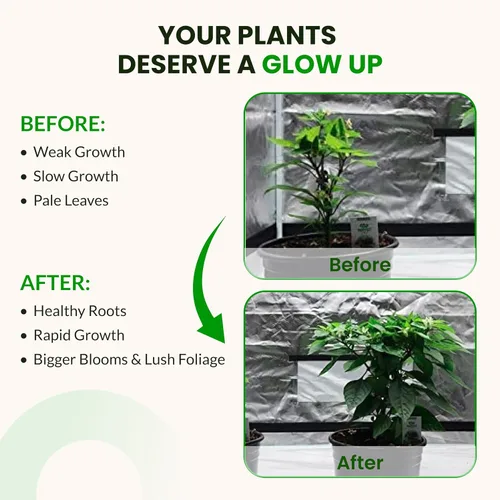Vista 8 de Humboldts Secret Paquete de kit de iniciación Fertilizante para plantas de interior y exterior y nutrientes hidropónicos Base A y B, calMag