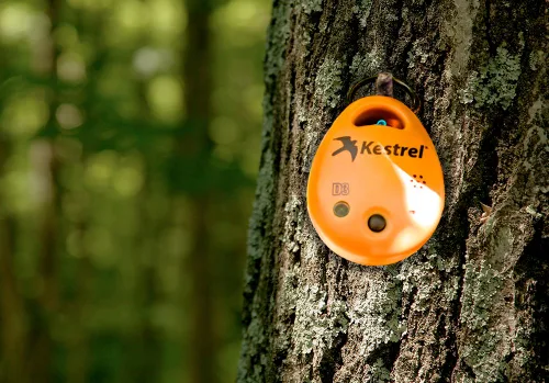 Vista 5 de Kestrel Drop D3FW Fire Weather Monitor, Naranja