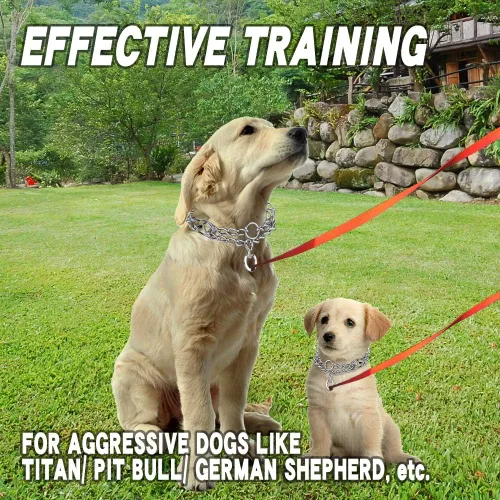 Vista 6 de Collares de púas para perros, collar de perro sin tirones, collar de entrenamiento para perros pequeños, acero inoxidable ajustable con cómodas