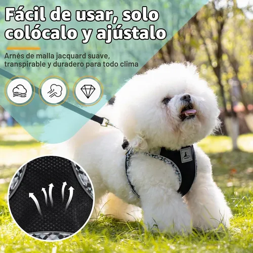 Vista 2 de Juego de arnés y correa para perro, arnés sin tirones para perros pequeños, fácil caminar, suave y transpirable, arnés para perros pequeños, arnés