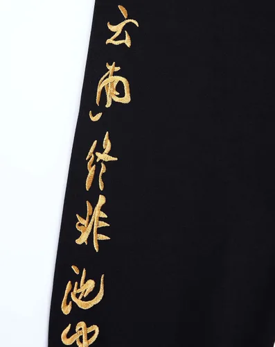 Vista 6 de Niepce Inc Streetwear - Sudaderas con capucha bordadas de dragón para hombre