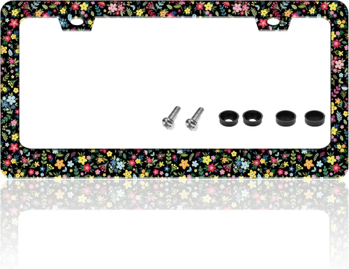 Vista 12 de Marco de placa de matrícula con salpicaduras de sangre, estampado de mano roja, soporte para placa de matrícula delantera o trasera, de acero