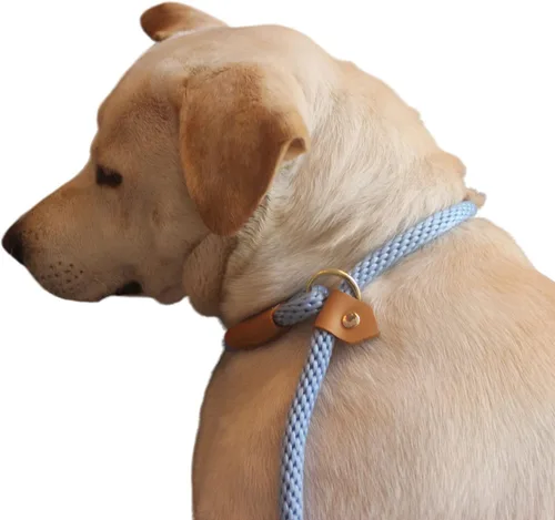 Vista 6 de Correa antideslizante para mascotas, correas deslizantes de 6 pies para perros, combo de collar de plomo para perros