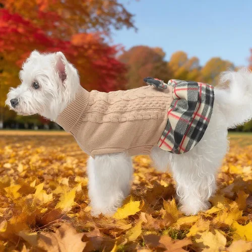 Vista 6 de BEAUTYZOO Vestido de suéter para perrita, suéter de punto trenzado para perritas pequeñas - Suéter de cuello alto con falda a cuadros y moño Beige
