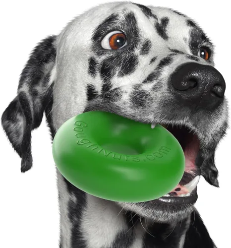 Vista 11 de Goughnuts - Juguete de goma para morder para perros Med.75, verde, anillo
