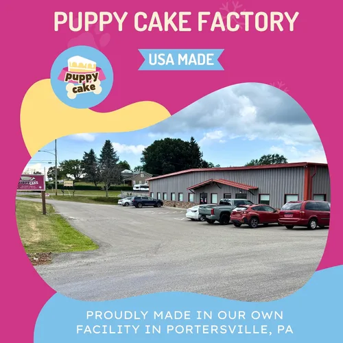 Vista 9 de Mezcla de helado para perros Puppy Scoops: maple con tocino - Agregue agua y congele en su hogar