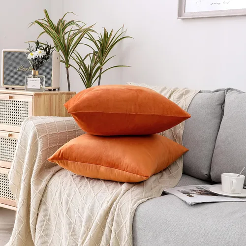 Vista 3 de NiNi ALL - Juego de 2 fundas de almohada decorativas de terciopelo, fundas de almohada para sofá, fundas de almohada para dormitorio, sala de estar