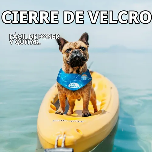 Vista 4 de Bandana con hielo refrescante para relajarse de All for Paws, S