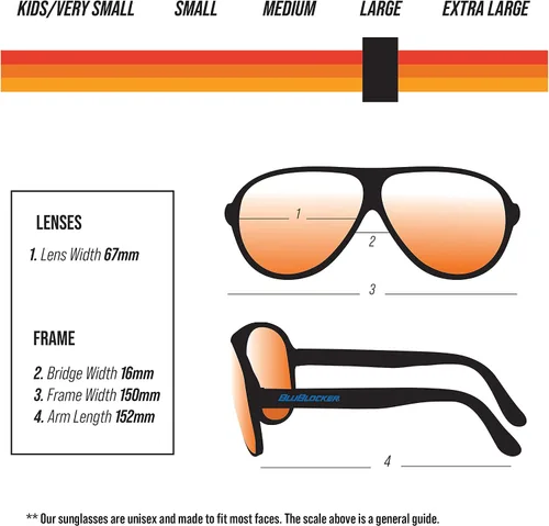 Vista 5 de demi-tortoise Aviator Polarizadas blublockers