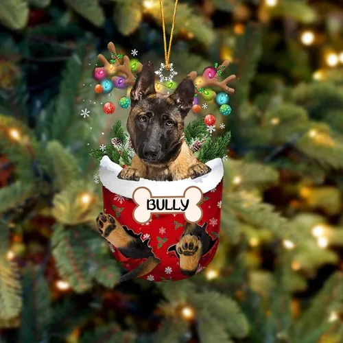 Vista 57 de IZI POD Affenpinscher Adorno de Navidad personalizado para perro, adorno de bolsillo de nieve para perro para árbol de Navidad, adorno acrílico