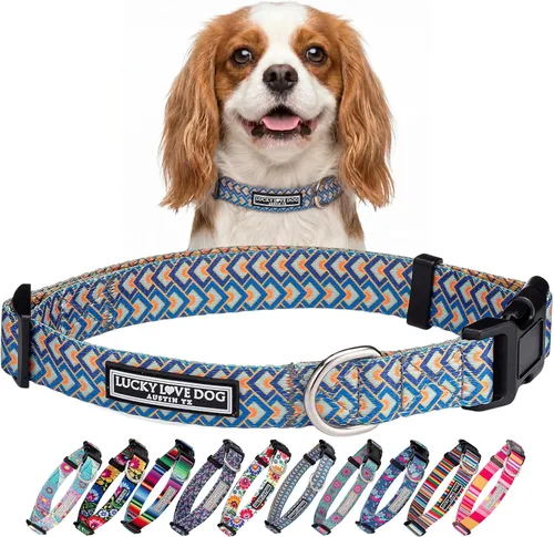 Vista 18 de Lucky Love Dog - Collar de perro ajustable con hebilla de fácil clic para los pequeños, duradero y cómodo para perros machos y hembras, collar