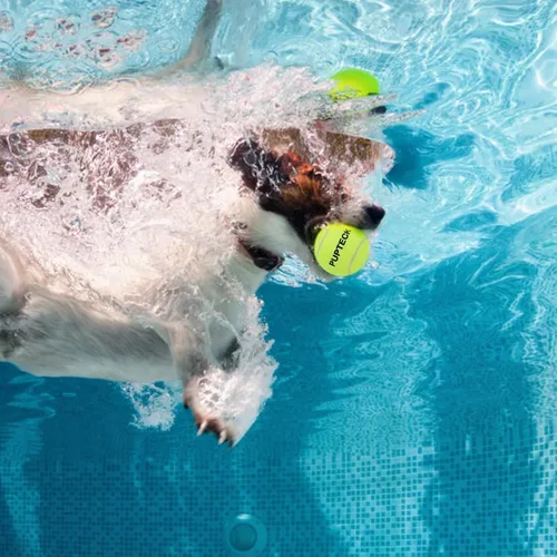 Vista 4 de PUPTECK Pelotas de tenis chirriantes para perros, juguetes de pelota hinchable de entrenamiento de 2.5 pulgadas, paquete de 12 paquetes para perros
