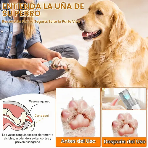 Vista 2 de Cortaúñas y amoladora para perros con luz LED