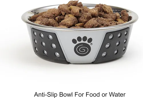 Vista 3 de PetRageous 13097 Fiji - Cuenco para perro de acero inoxidable antideslizante apto para lavavajillas, capacidad de 1.75 tazas, 5.5 pulgadas
