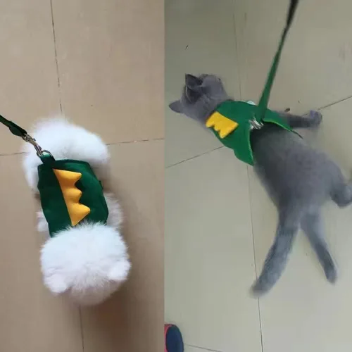 Vista 5 de Juego de arnés y correa para perro con forma de dinosaurio, arnés de chaleco verde con cuerda para caminar, chaleco cómodo sin tirones para mascotas
