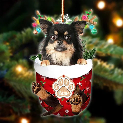 Vista 120 de NAZENTI Adorno Navideño de Bolsillo Personalizado de Affenpinscher en la Nieve, Adorno de Forma Acrílica de Perro, Adorno de Navidad 2023, Adorno