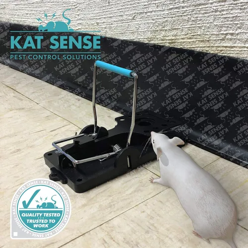 Vista 7 de Kat Sense Juego de 6 trampas grandes para ratas, diseño de barra de acero inoxidable, trampa humana para uso en interiores y exteriores, atrapa