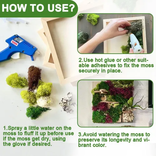 Vista 5 de Musgo de reno azul de 3.5 onzas, musgo preservado para plantas, decoración de musgo, musgo verde para manualidades, musgo para plantas en maceta