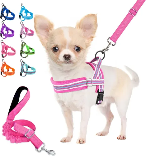 Vista 17 de Lukovee Juego de arnés y correa para perro sin tirones, arnés acolchado suave para perro pequeño, chaleco reflectante ajustable para cuello y pecho