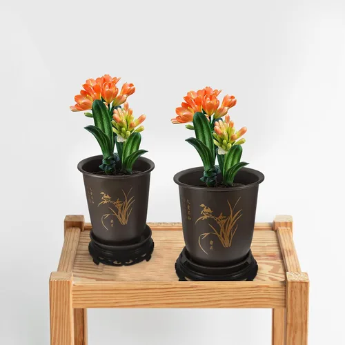 Vista 7 de Sewroro 2 juegos de macetas de orquídeas de gran diámetro con bases de plástico para plantas de interior para orquídeas y plantas