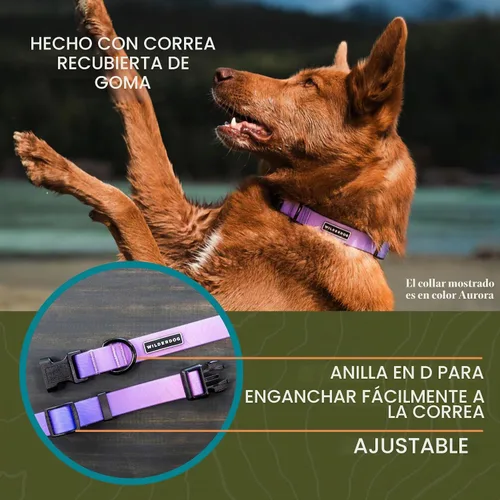 Vista 4 de Collar de perro impermeable Wilderdog – Repele el agua y la suciedad - Pequeño 11"-15" - Aurora