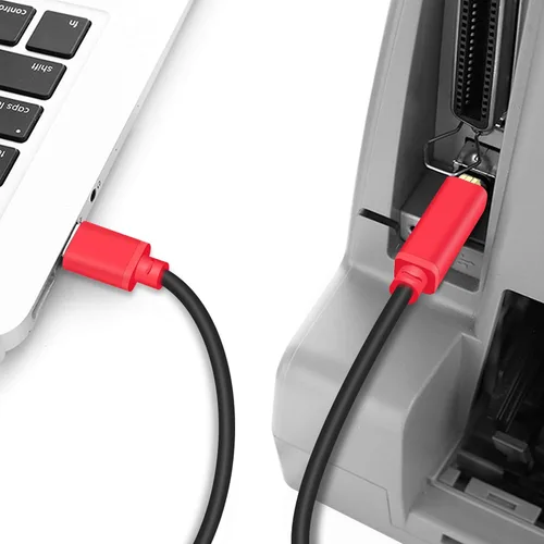 Vista 4 de Tan QY Cable de impresora de 10 pies, USB 2.0 de alta velocidad chapado en oro, cable de escáner de impresora A macho a B macho para HP, Canon