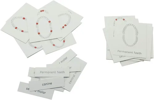 Vista 6 de MEROCO Montessori - Juego de tarjetas didácticas para niños pequeños