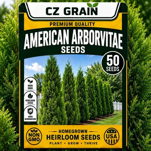 Vista 20 de CZ Grain Semillas para plantar, 40 pequeñas mezclas de calabaza