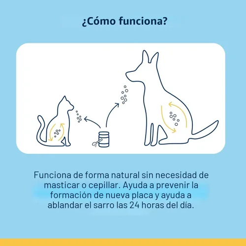 Vista 7 de Polvo para eliminar placa dental ProDen