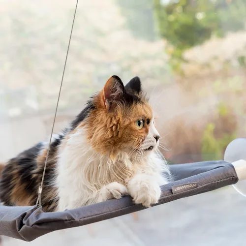 Vista 6 de Hamaca Colgante para Gatos Catlax InnovaGoods