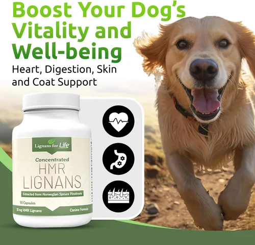 Vista 3 de Lignans For Life HMR LIGNANS Cápsulas de 10 mg – Perfecto para razas de perros pequeños – Vitamina para mascotas sanas Multivitamínico
