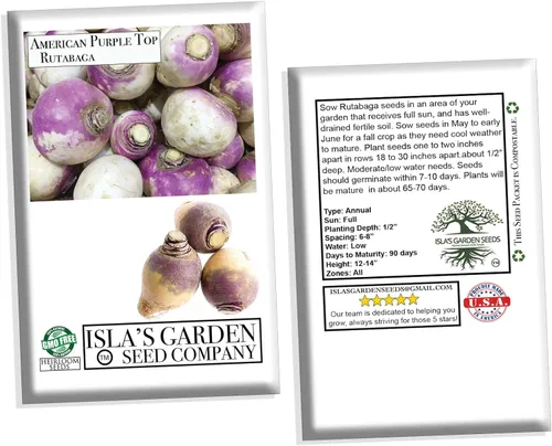 Vista 5 de Rutabaga (parte superior púrpura americana), más de 150 semillas de reliquia por paquete, semillas de jardín de Isla (semillas de jardín de Isla)