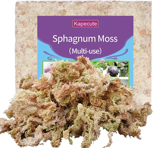 Vista 8 de 5oz de musgo sphagnum para propagación de plantas, excelente mezcla para macetas de orquídeas, ayuda a mantener la humedad