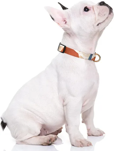Vista 2 de Rnivvi Collar para perros pequeños, bonito collar resistente y ajustable para cachorros con hebilla de liberación rápida para machos, hembras