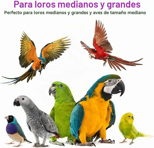 Vista 5 de RUBY.Q Juguete grande del loro de 20in, pájaros de madera natural