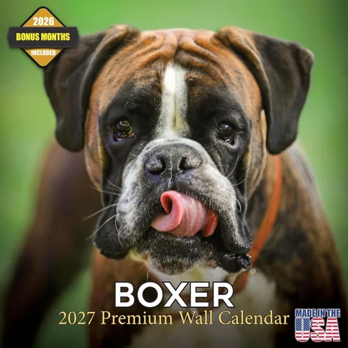 Vista 17 de Calendario de Lebrel Afgano 2025 2026, calendario mensual de pared de raza canina, 12" x 18" abierto, papel grueso sin traspaso, ideal para regalo