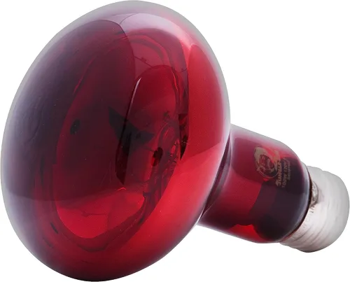 Vista 3 de Jungle Bob - Bombilla de calor rojo vivo - Luz nocturna infrarroja de 100 W para visualización nocturna sin molestias - Fuente de calor segura