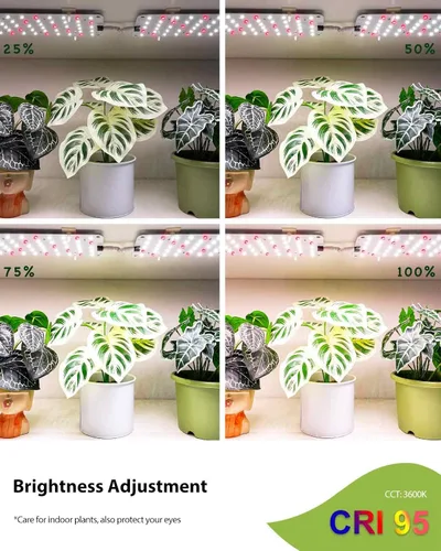 Vista 4 de Luz de cultivo para plantas de interior, luz regulable para plantas, 6/12/16H, tira de luces LED de crecimiento de espectro completo, paneles de luz