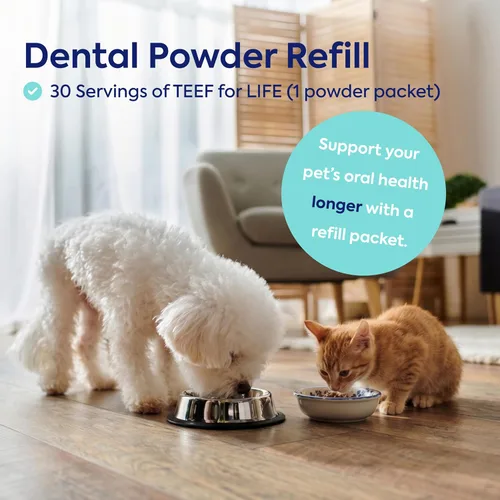 Vista 4 de TEEF FOR LIFE Protektin42K - Recambio de polvo dental prebiótico